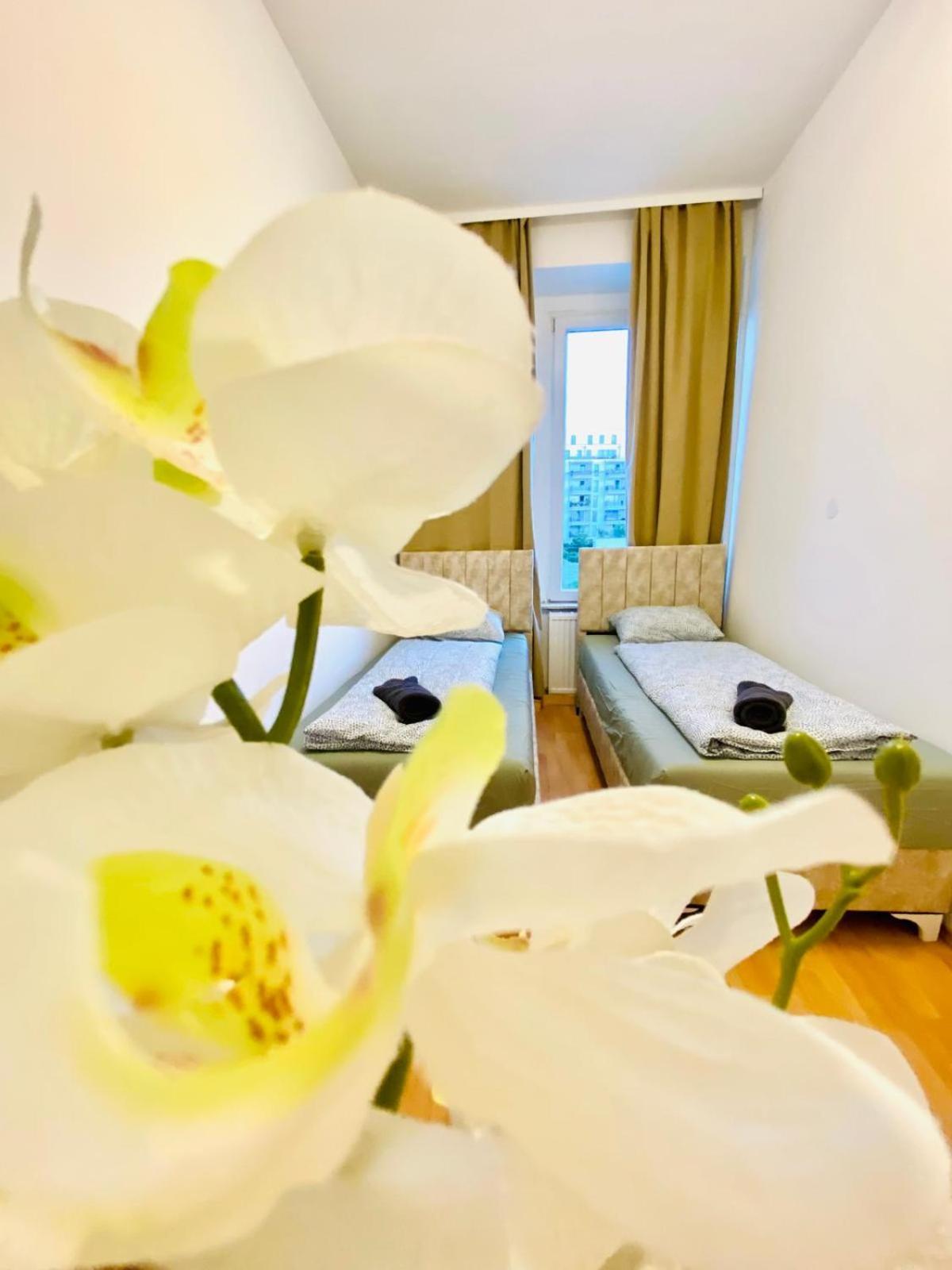 Bright 5Br Shared Apartment W Great Transport Link Viyana Dış mekan fotoğraf